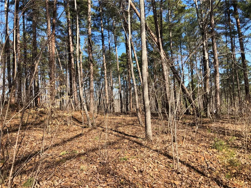 Property image 5 at Lot 44 Glassy Water Way, West Union, SC 29696