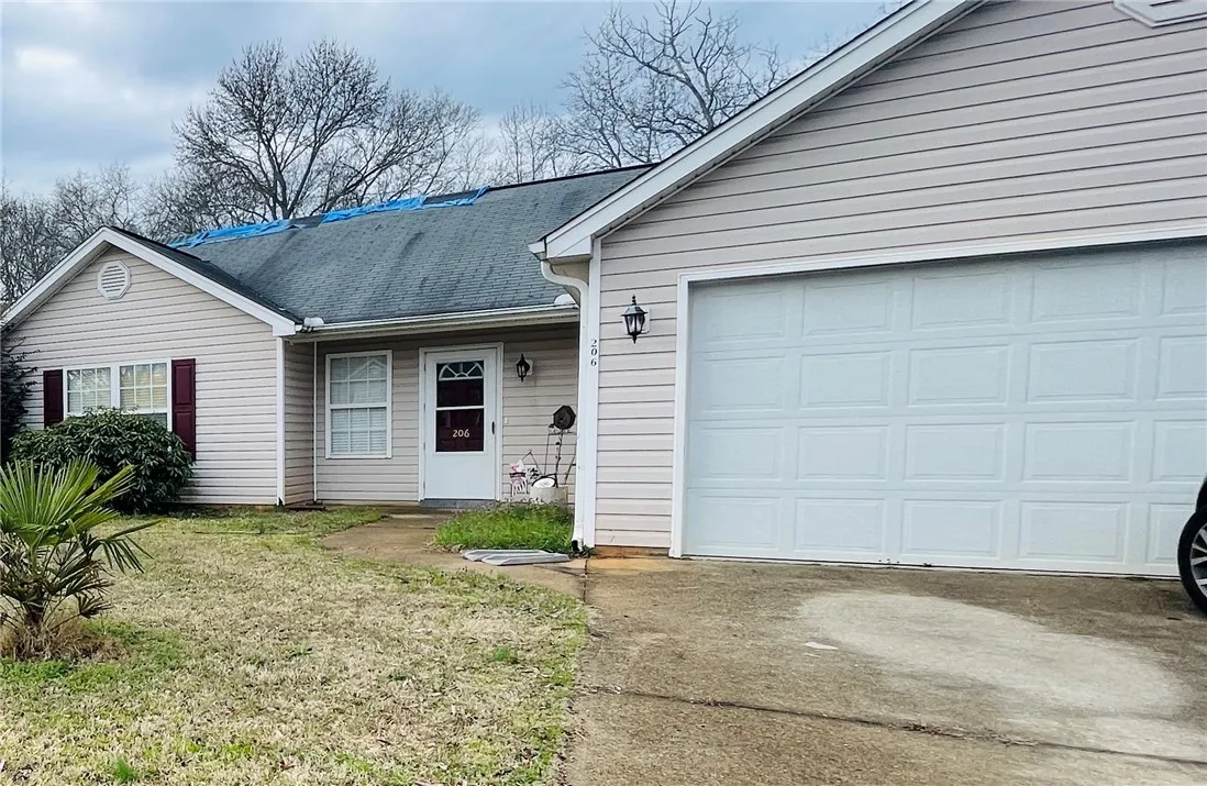 206 Olive Branch