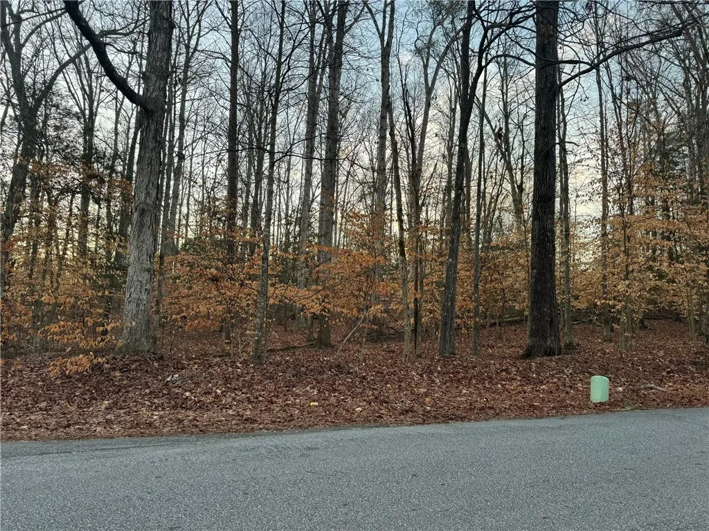 Property image 4 at 0 Pistol Club Road, Easley, SC 29640
