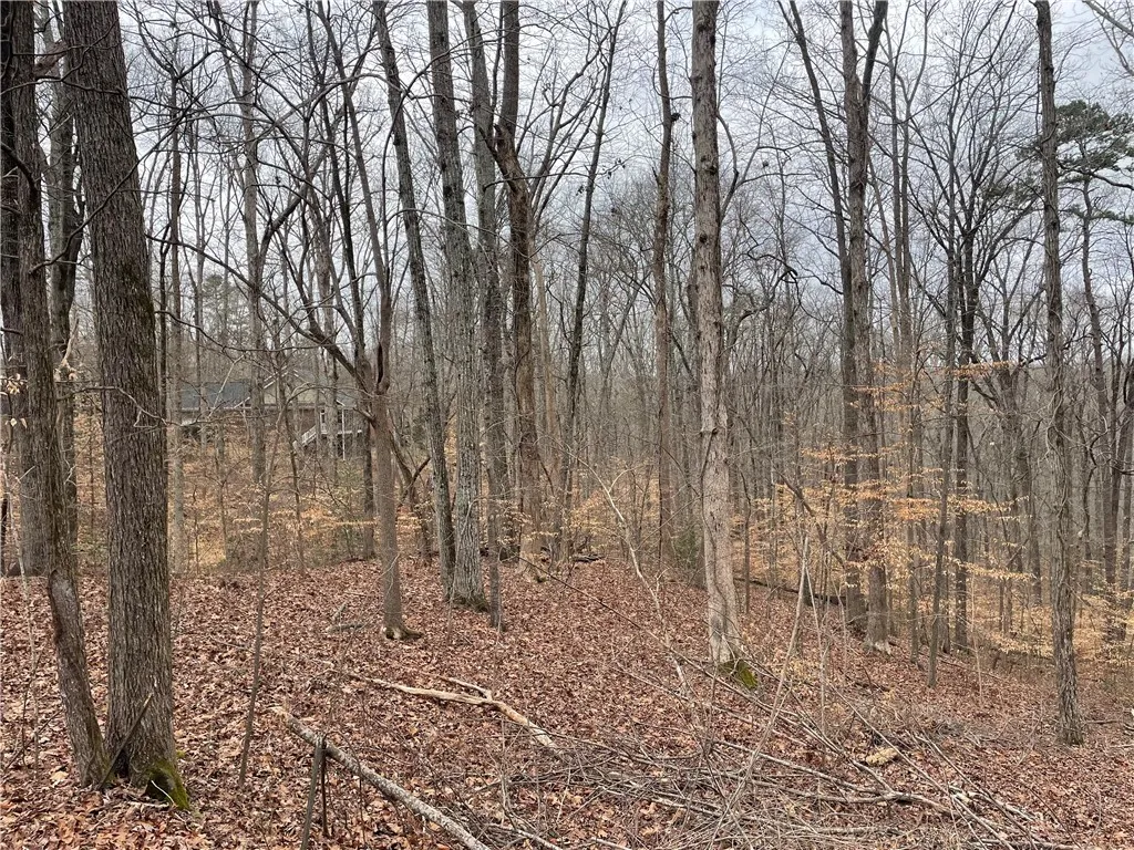 Property image 3 at 405 Promontory Ridge, Seneca, SC 29672