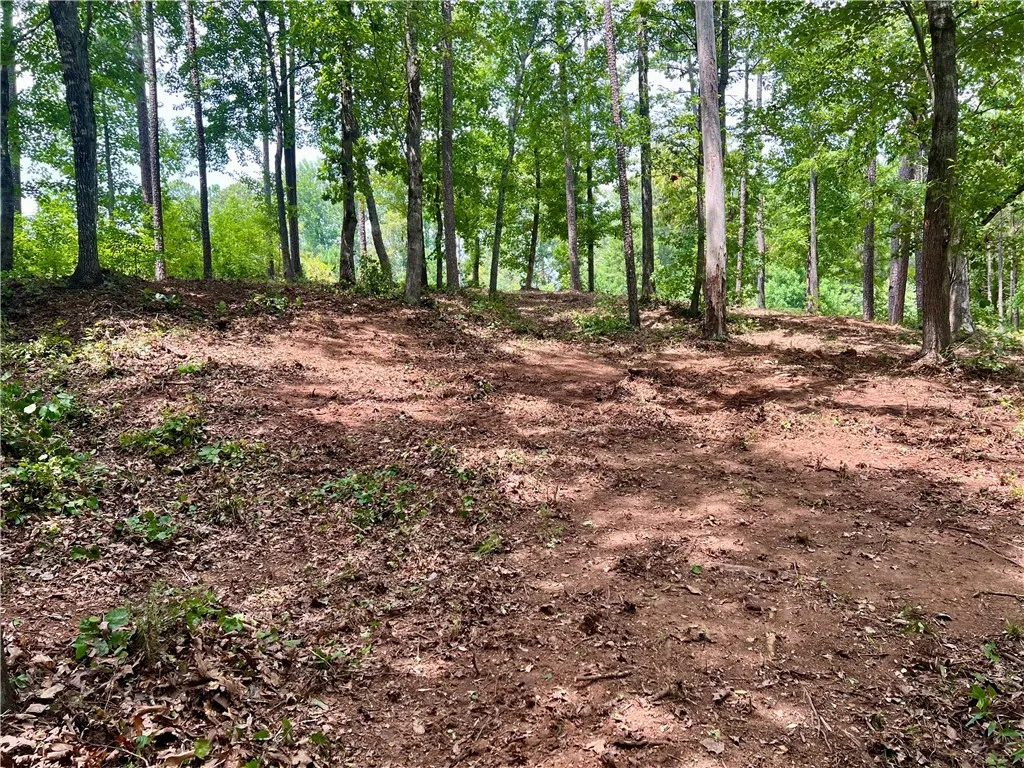 Property image 4 at 0 Lot 22 Waterside Point, Abbeville, SC 29620