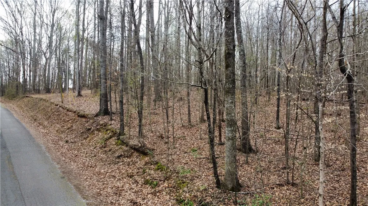 TR 36 A Martin Drive