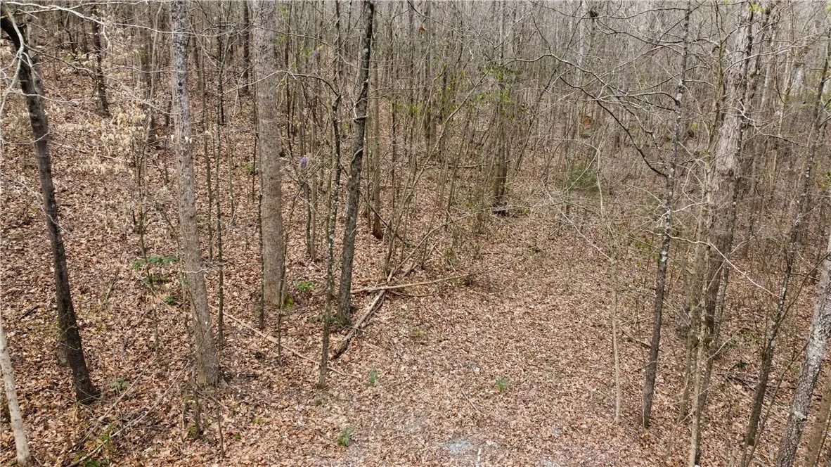 Property image 2 at TR 36 A Martin Drive, Anderson, SC 29621