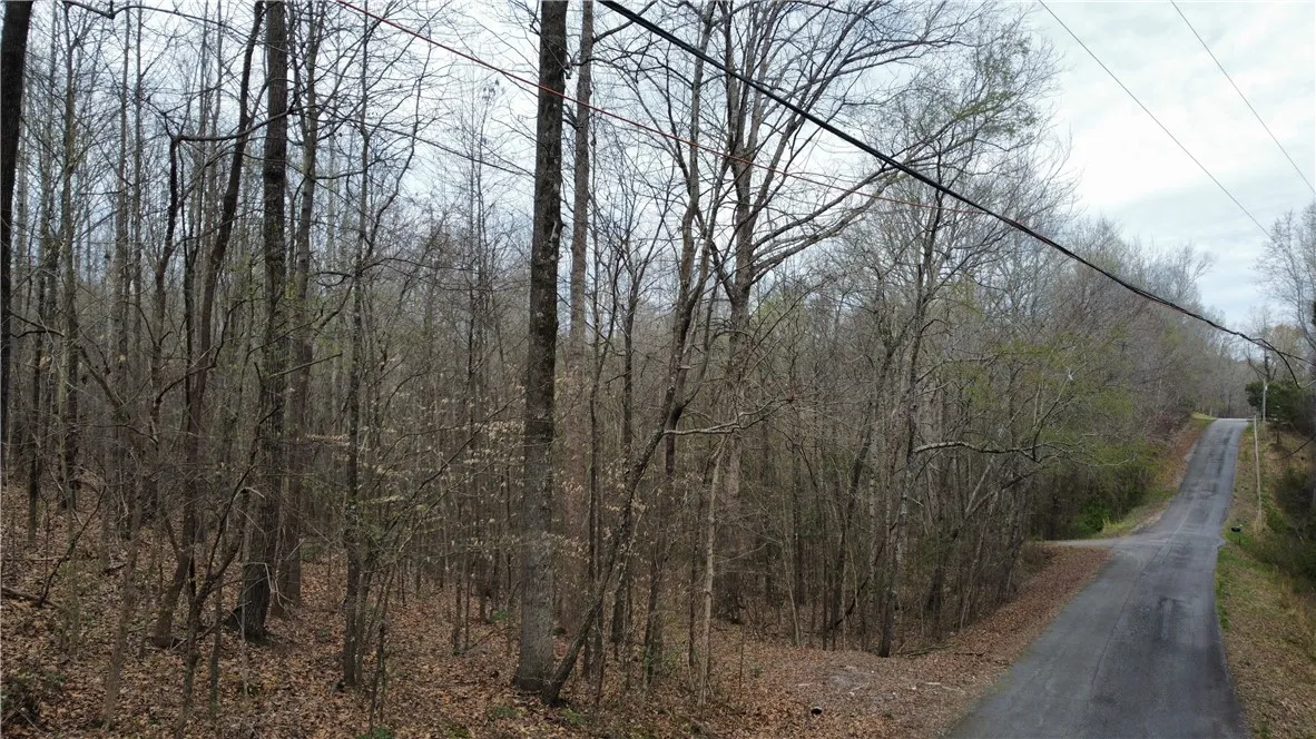 Property image 3 at TR 36 A Martin Drive, Anderson, SC 29621