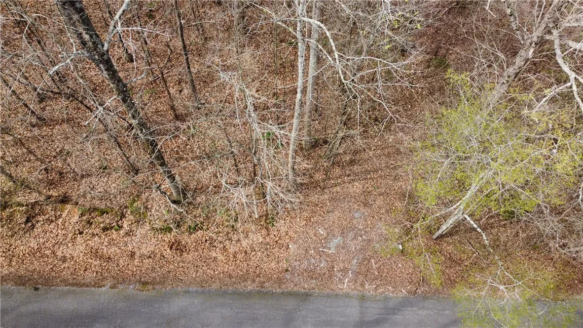 Property image 4 at TR 36 A Martin Drive, Anderson, SC 29621