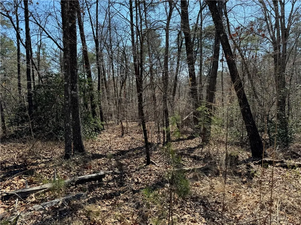 Property image 2 at Lot 20 Old Shallowford Bridge Road, Sunset, SC 29685