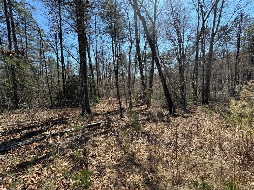 Property image 3 at Lot 20 Old Shallowford Bridge Road, Sunset, SC 29685