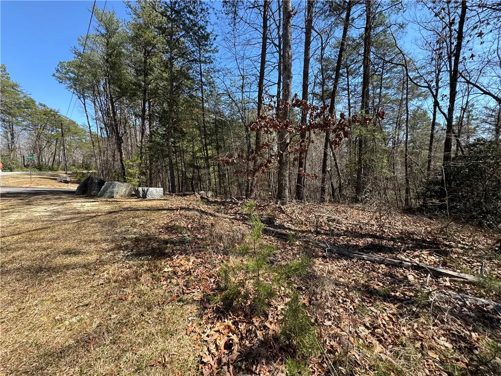 Property image 4 at Lot 20 Old Shallowford Bridge Road, Sunset, SC 29685