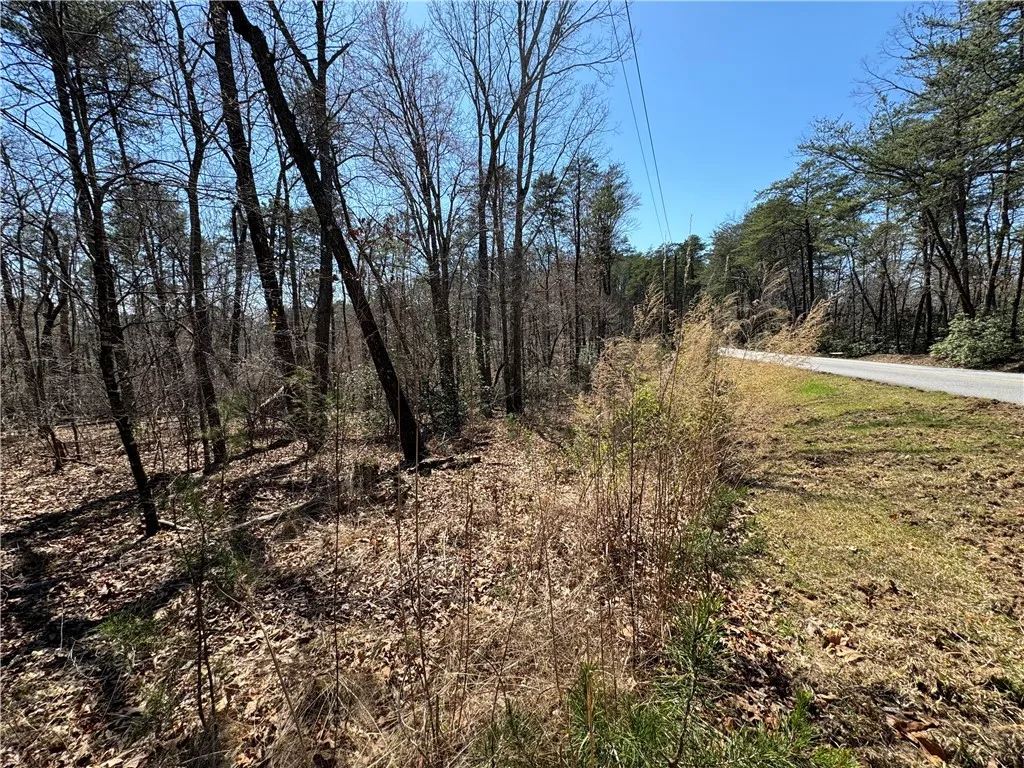 Property image 5 at Lot 20 Old Shallowford Bridge Road, Sunset, SC 29685