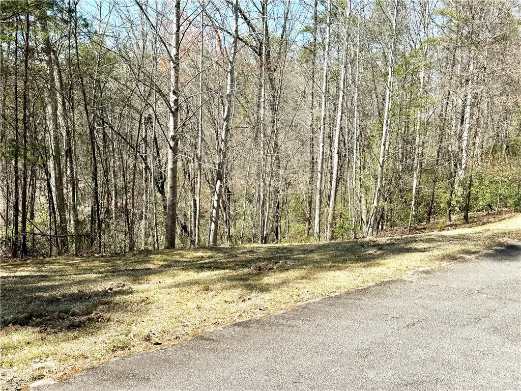 Property image 4 at 108 Junaluska Trail, Sunset, SC 29685