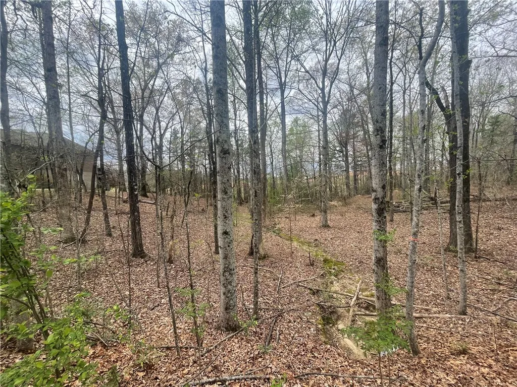 Property image 2 at 1608 Banchory Circle, Walhalla, SC 29691