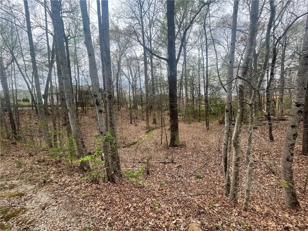 Property image 5 at 1608 Banchory Circle, Walhalla, SC 29691