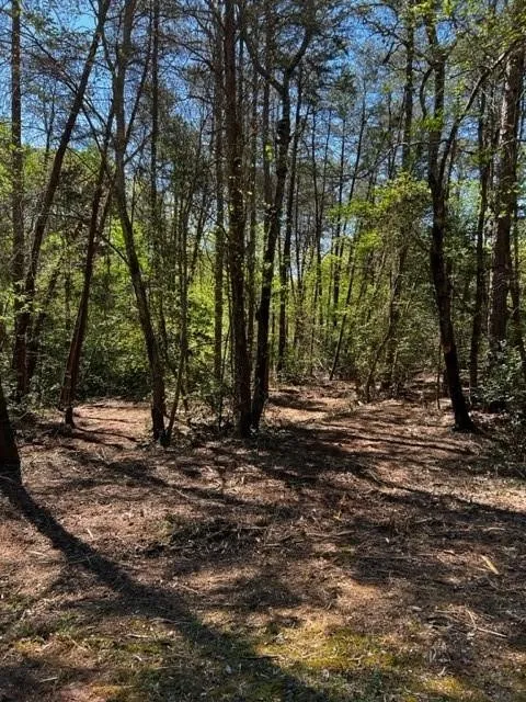 Property image 3 at Lot 4a Tabor Ramp Road, Westminster, SC 29693