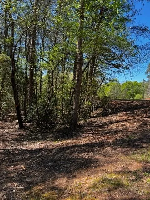 Property image 4 at Lot 4a Tabor Ramp Road, Westminster, SC 29693