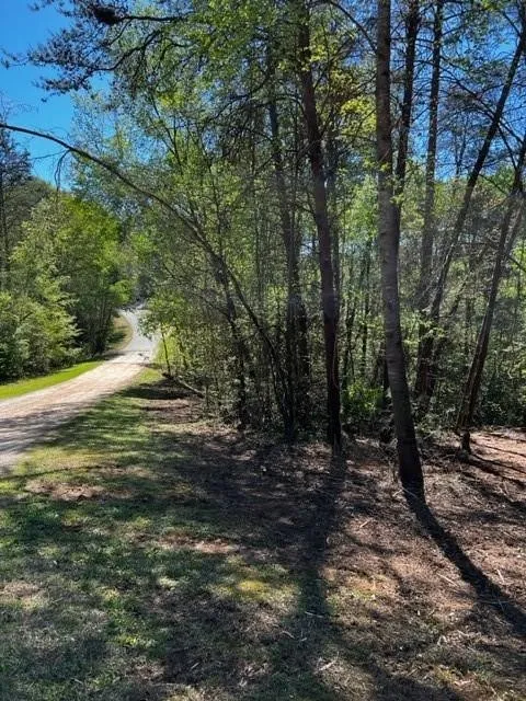 Property image 5 at Lot 4a Tabor Ramp Road, Westminster, SC 29693