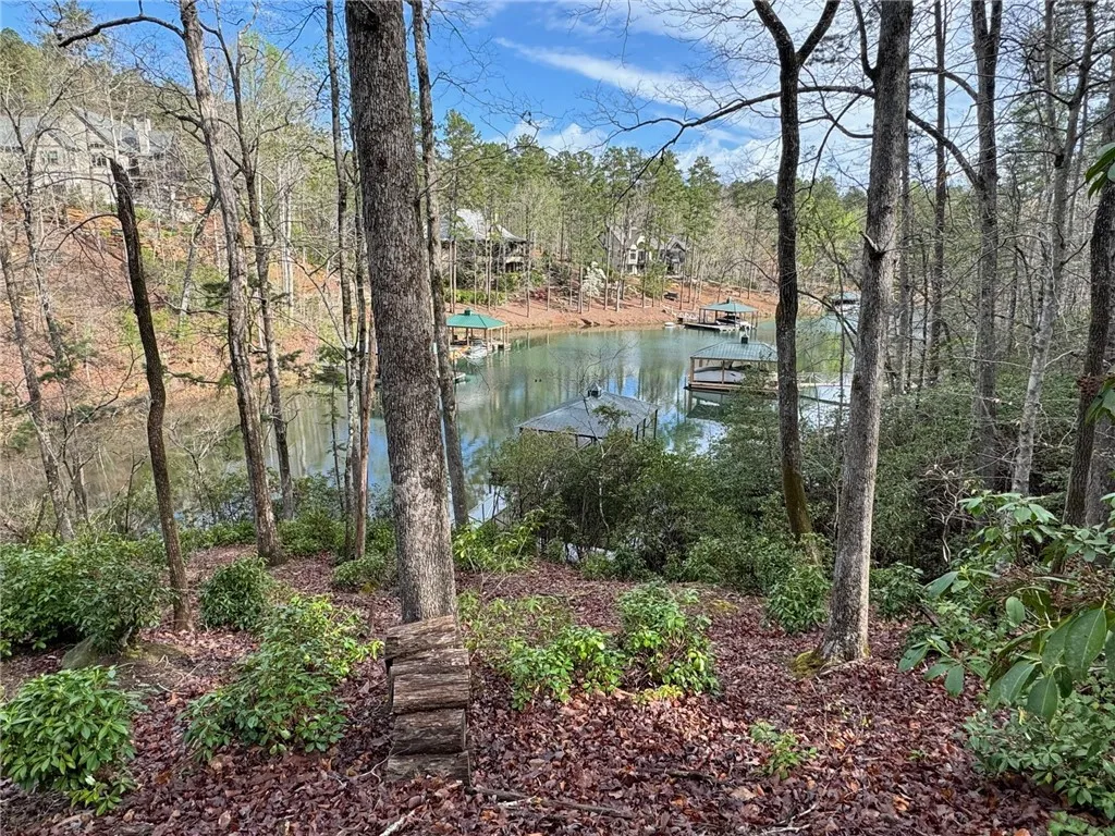 Property image 1 at 355 Long Cove Trail, Salem, SC 29676