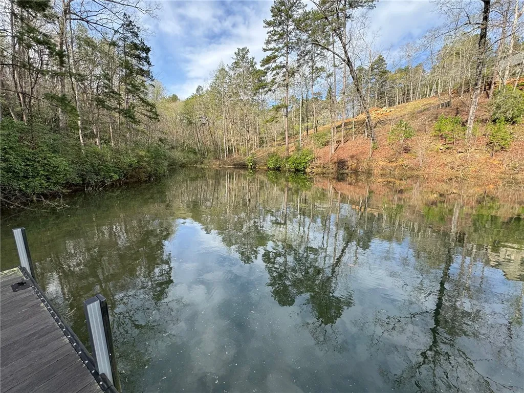 Property image 4 at 355 Long Cove Trail, Salem, SC 29676