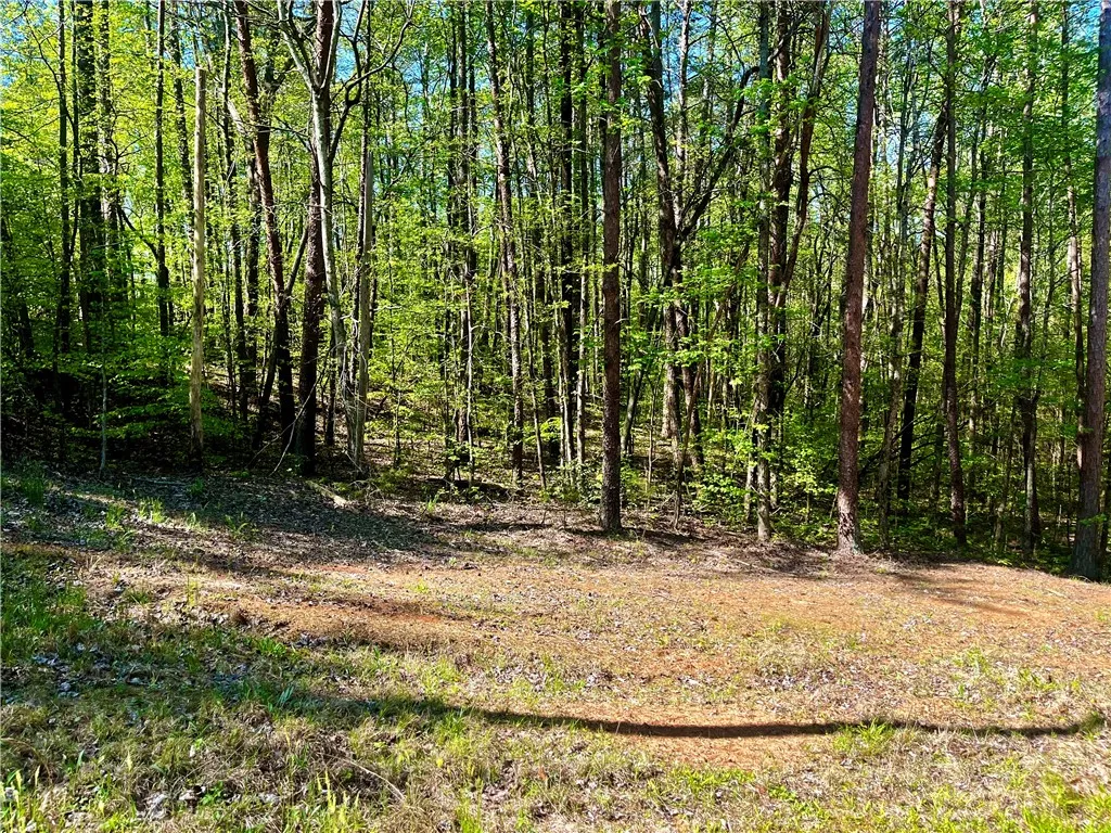 Property image 1 at LOT 80 Sequoia Trail, Westminster, SC 29693