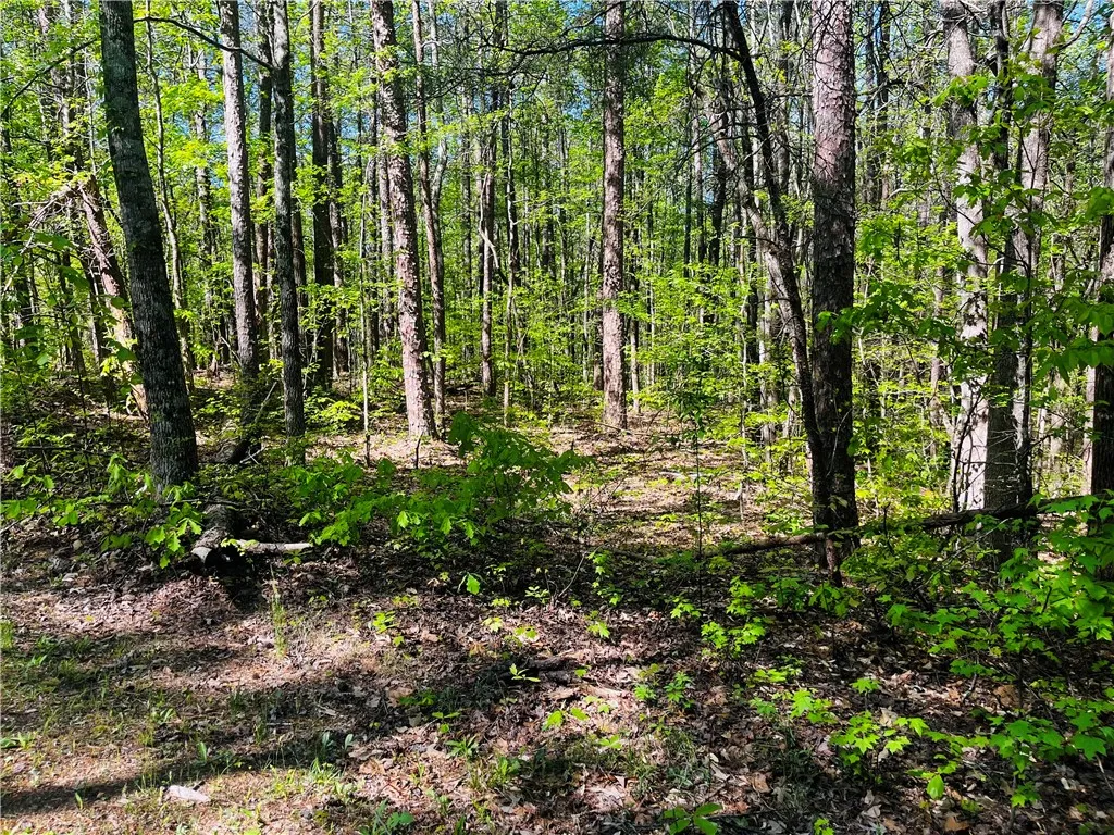 Property image 4 at LOT 80 Sequoia Trail, Westminster, SC 29693