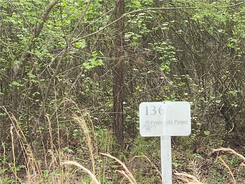 Property image 3 at Lot 136 McAlister Road, West Union, SC 29696