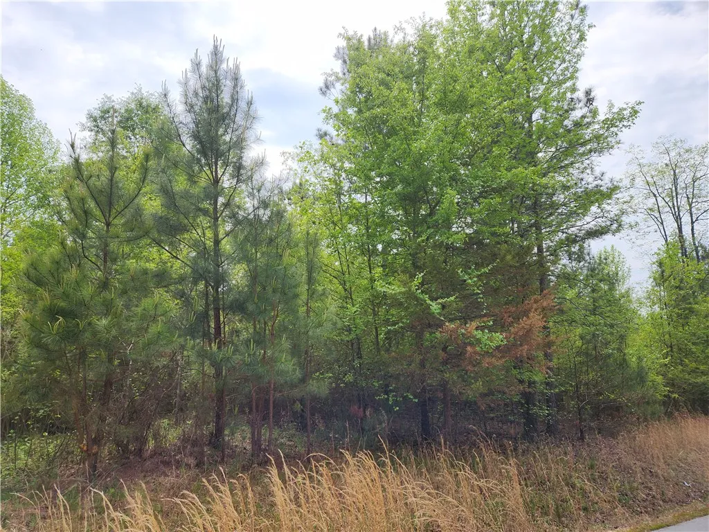 Property image 4 at Lot 136 McAlister Road, West Union, SC 29696