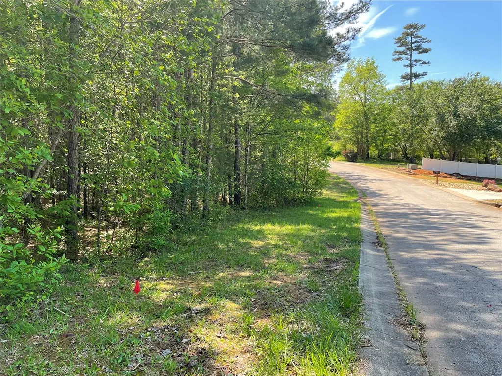 Property image 2 at Lot 20 Serenity Drive, Salem, SC 29676