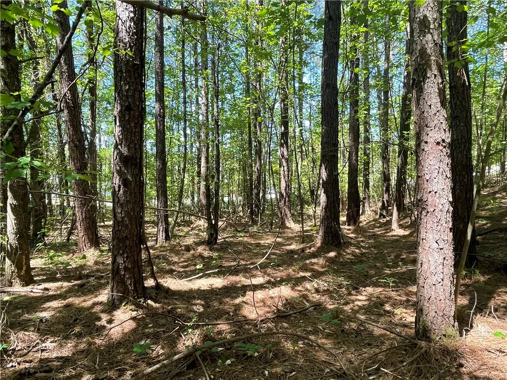 Property image 3 at Lot 20 Serenity Drive, Salem, SC 29676