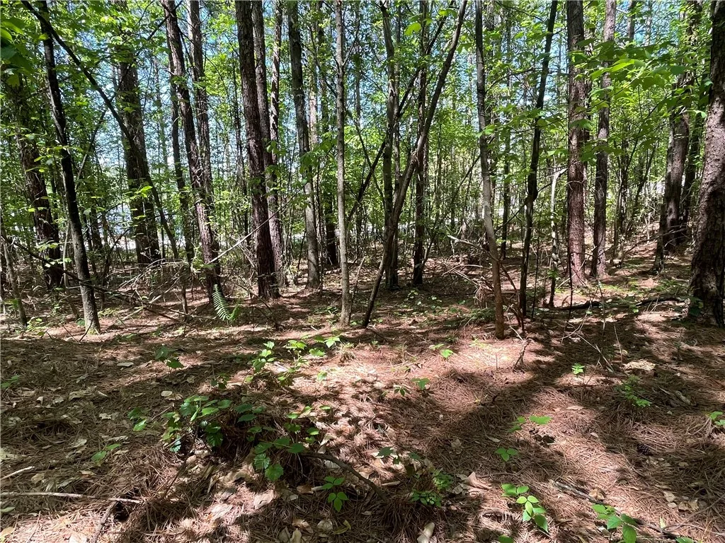 Property image 4 at Lot 20 Serenity Drive, Salem, SC 29676