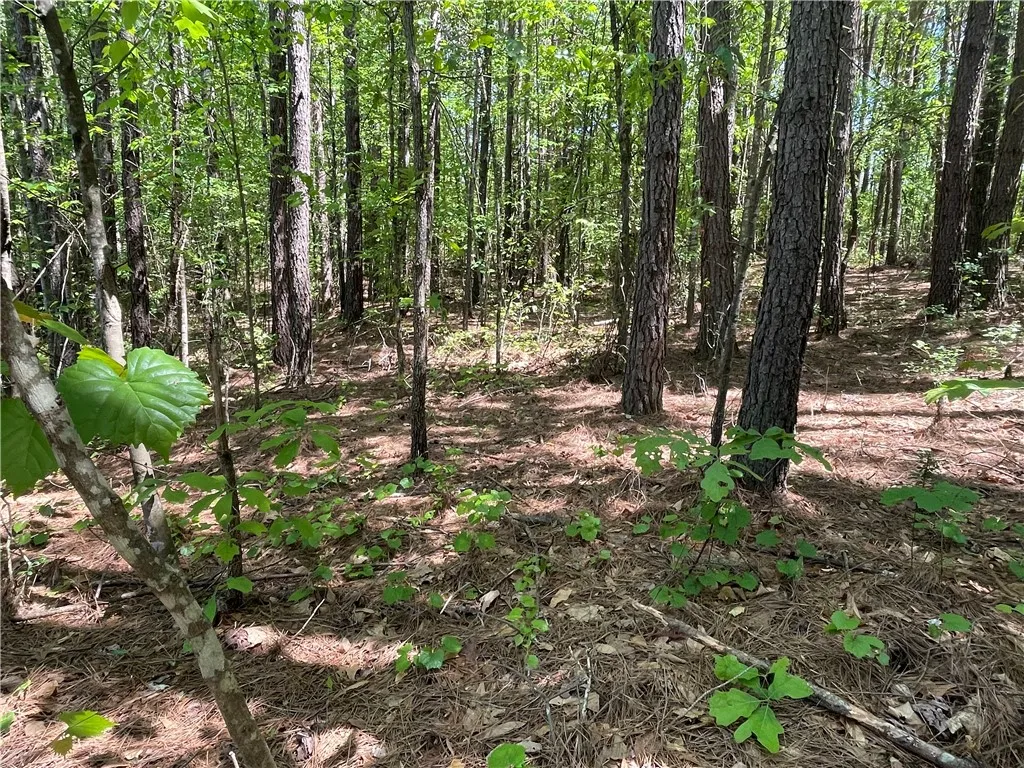 Property image 5 at Lot 20 Serenity Drive, Salem, SC 29676