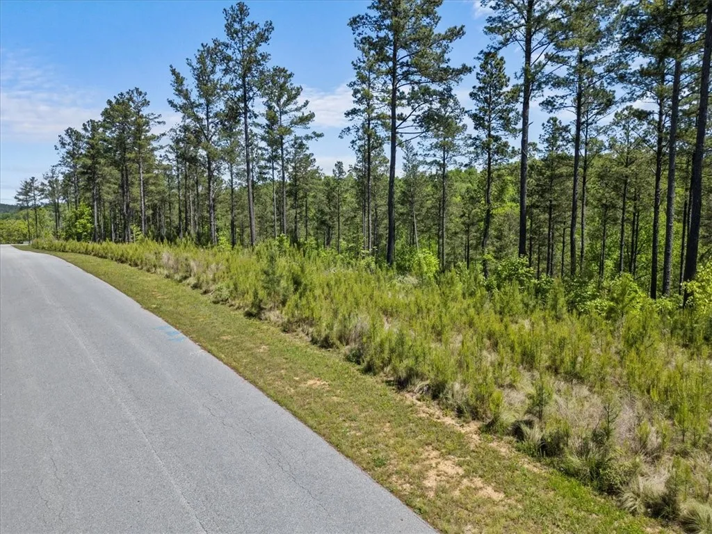 Property image 5 at 144 Bailey Street, Six Mile, SC 29682