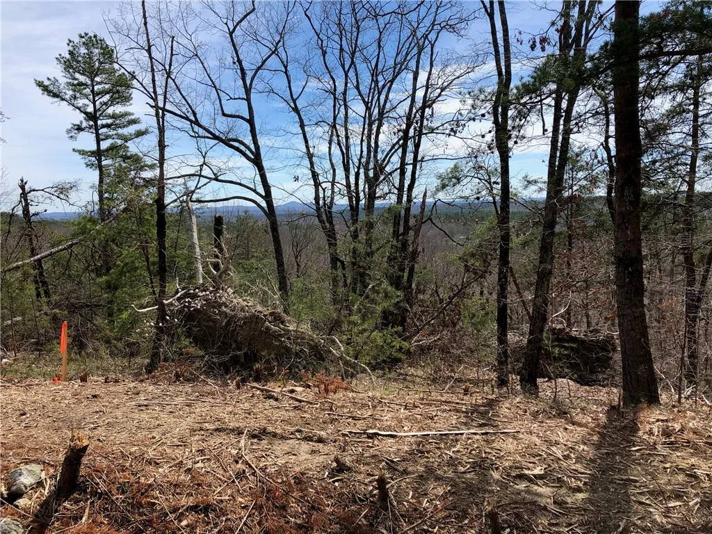 Property image 3 at S54 Stone Terrace Way, Salem, SC 29676