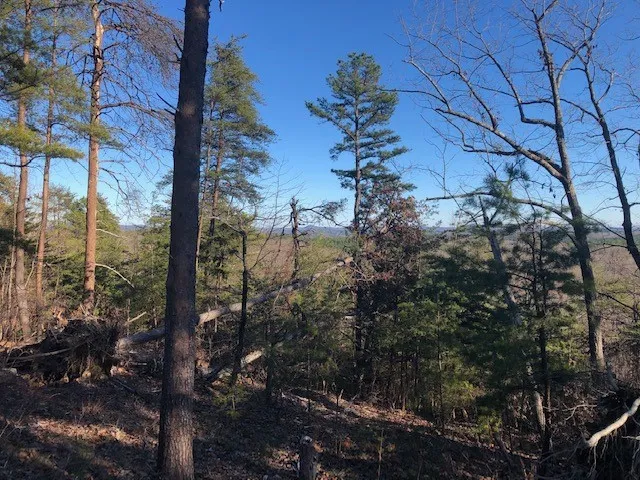 Property image 4 at S53 Stone Terrace Way, Salem, SC 29676