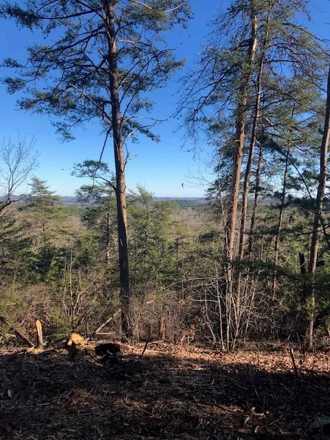 Property image 2 at S52 Stone Terrace Way, Salem, SC 29676