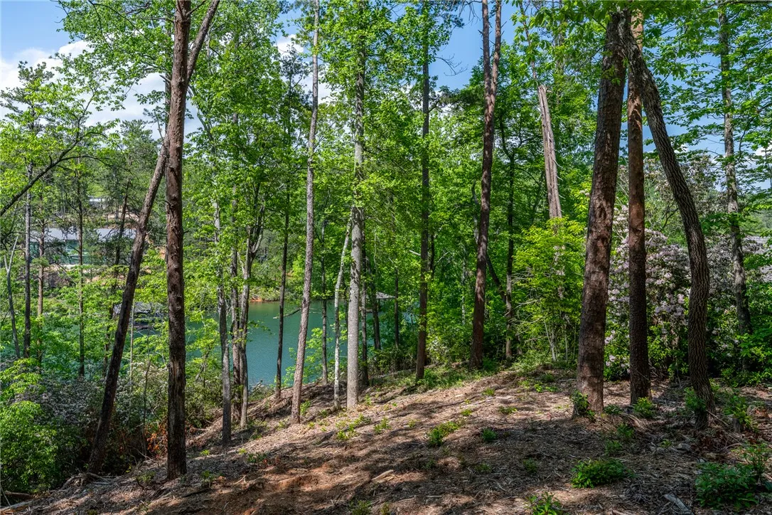 Property image 3 at 116 Stillwater Court, Sunset, SC 29685