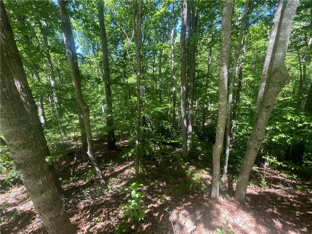 Property image 2 at Lot 9 Block A Brookside Drive, Westminster, SC 29693