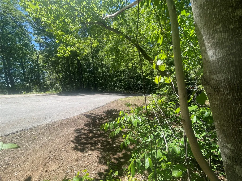 Property image 5 at Lot 9 Block A Brookside Drive, Westminster, SC 29693
