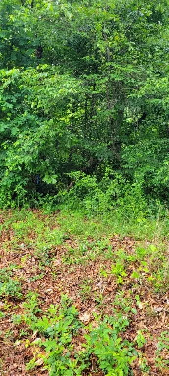 Property image 5 at Lot 22 High Meadows Drive, Westminster, SC 29693
