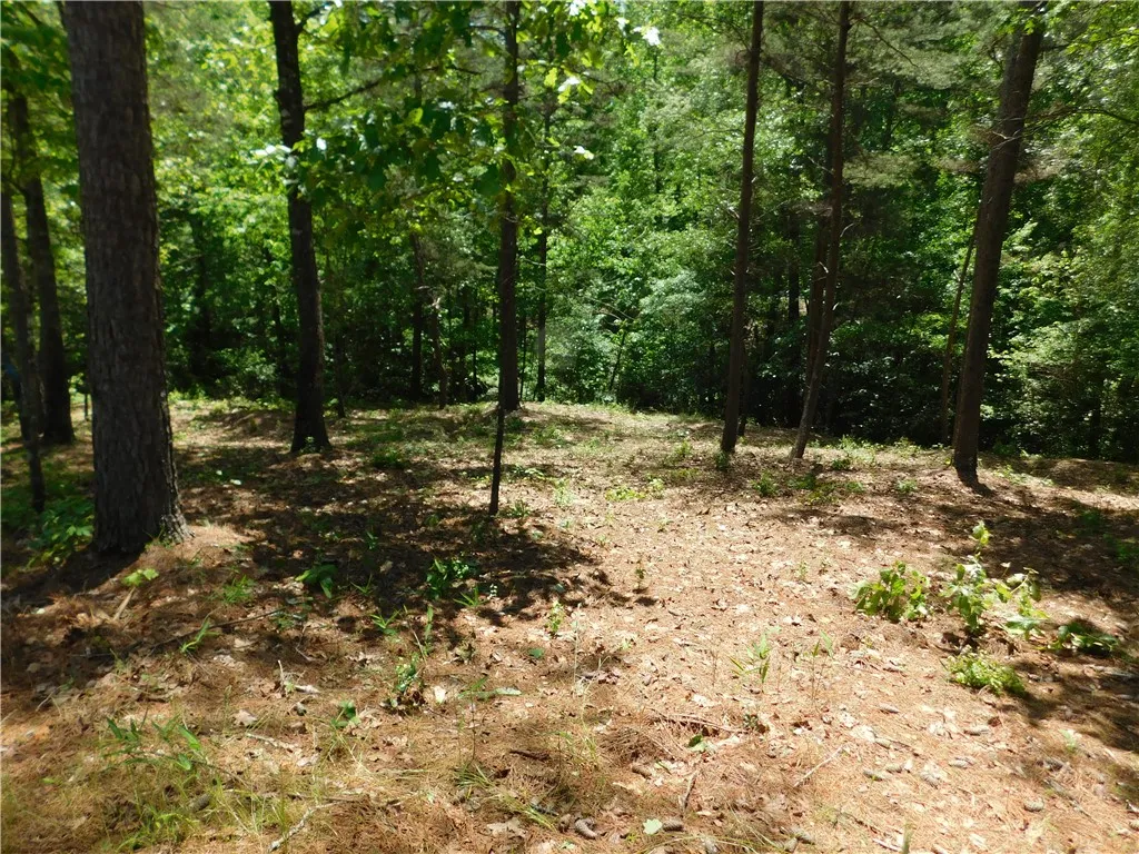Property image 1 at Lot 12 Canebrake Drive, Salem, SC 29676