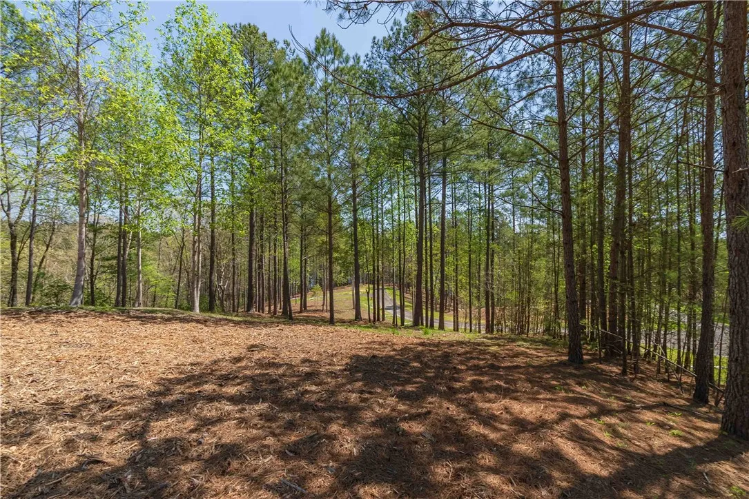 Property image 3 at Lot 6 Canebrake Drive, Salem, SC 29676