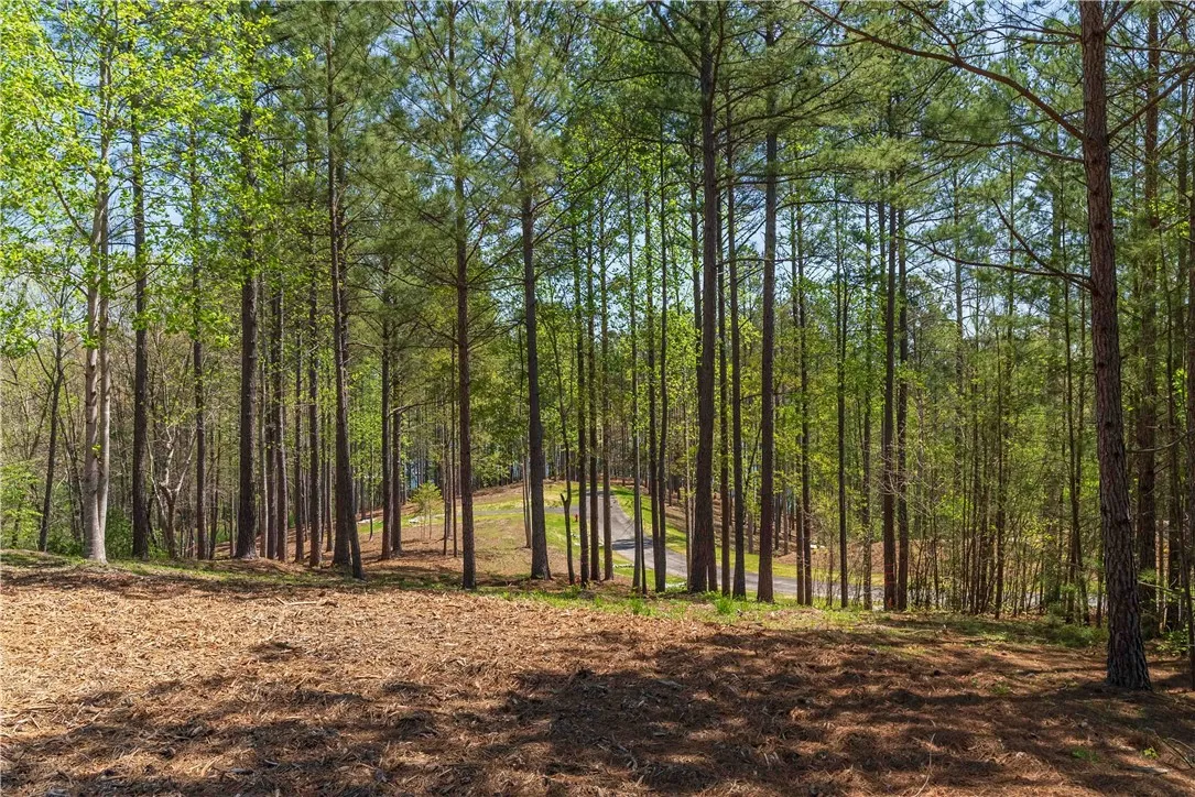 Property image 4 at Lot 6 Canebrake Drive, Salem, SC 29676