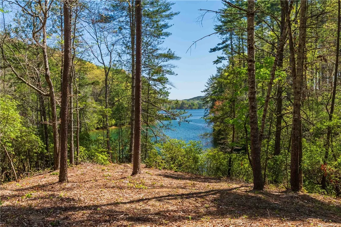 Property image 1 at Lot 5 Canebrake Drive, Salem, SC 29676