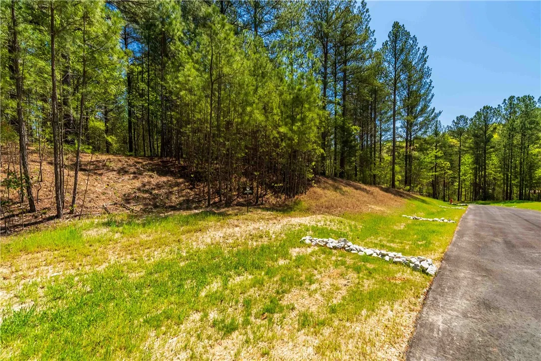 Property image 1 at Lot 1 Canebrake Drive, Salem, SC 29676