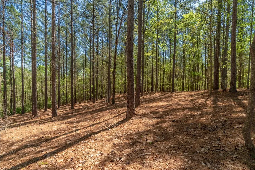 Property image 2 at Lot 1 Canebrake Drive, Salem, SC 29676