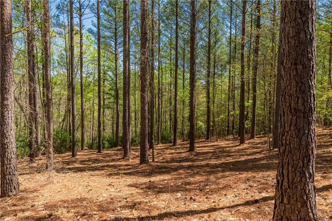 Property image 3 at Lot 1 Canebrake Drive, Salem, SC 29676
