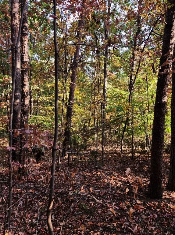 Property image 4 at 00 Four Views Court, Seneca, SC 29678