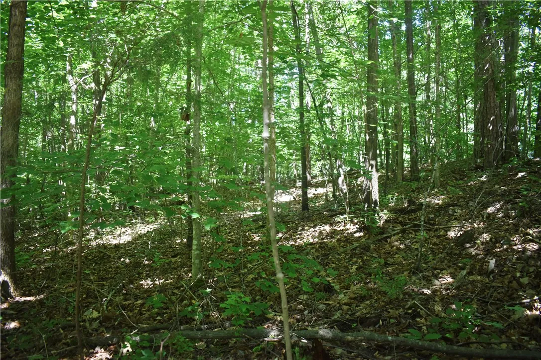 Property image 2 at LOT 2306 CHICKASAW POINT Point, Westminster, SC 29693