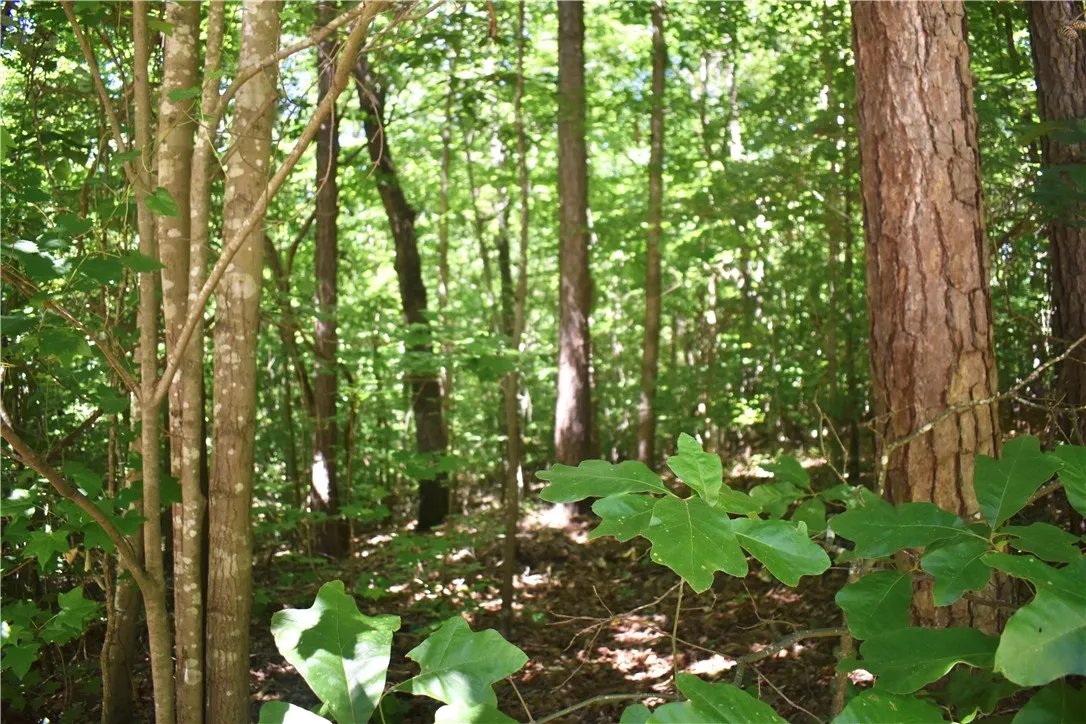 Property image 3 at LOT 2306 CHICKASAW POINT Point, Westminster, SC 29693