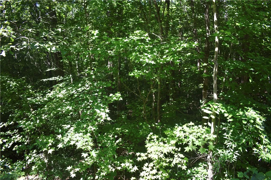 Property image 4 at LOT 2306 CHICKASAW POINT Point, Westminster, SC 29693