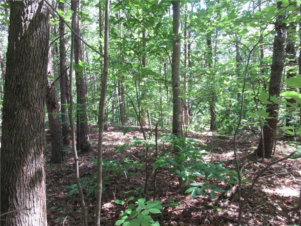 Property image 2 at 221 River Bliff Road, Cleveland, SC 29635