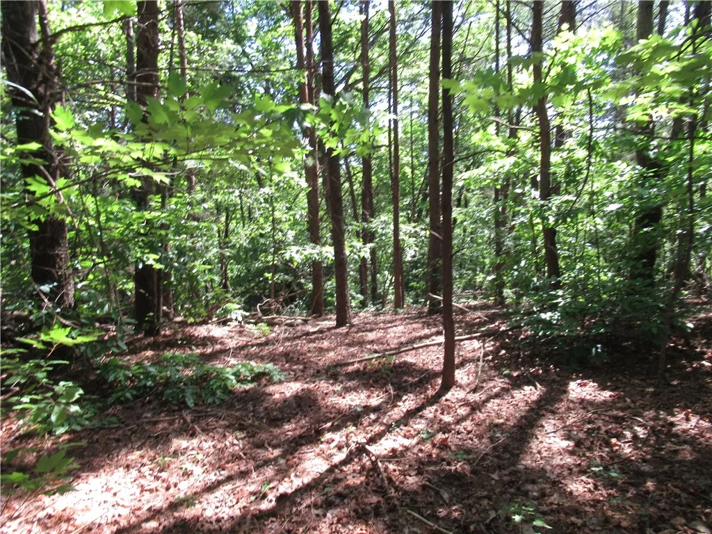 Property image 3 at 221 River Bliff Road, Cleveland, SC 29635